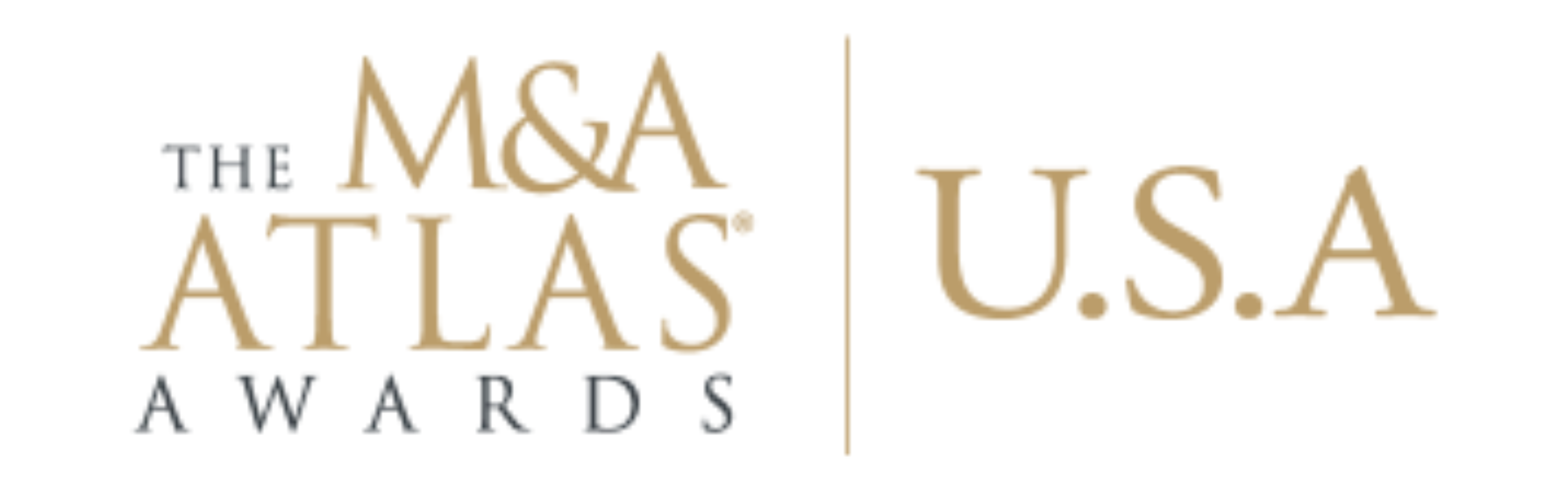 2025 USA M&A Atlas Awards: Boutique Investment Bank of the Year